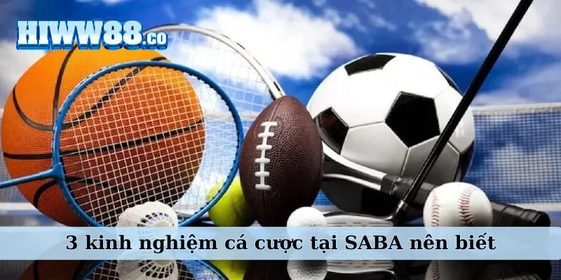 3 kinh nghiệm cá cược tại SABA nên biết